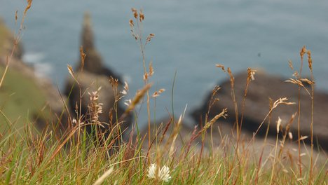 Isle of Skye