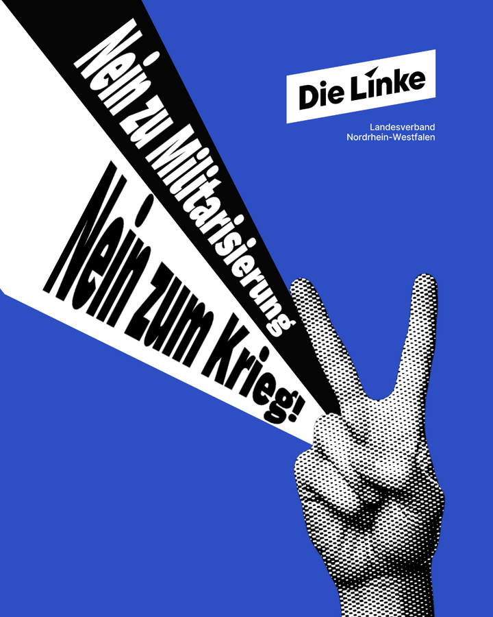 Die Linke hilft Düren (A4 (Querformat)) - 1